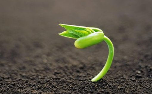 厦门车祸“奇迹宝宝”已经满7岁，现如今他过的怎样了？