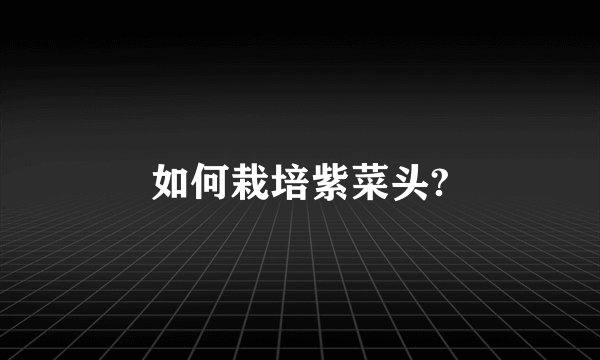 如何栽培紫菜头?