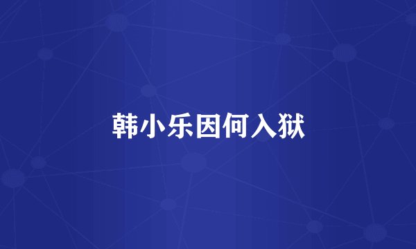 韩小乐因何入狱