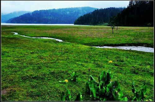 《青青草》电视剧女主？