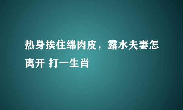 热身挨住绵肉皮，露水夫妻怎离开 打一生肖
