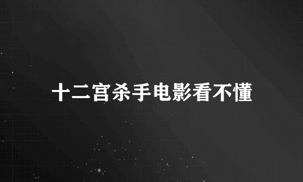 十二宫杀手电影看不懂