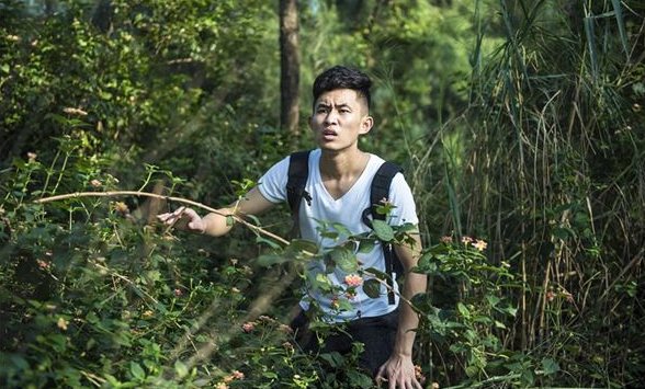 梦见自己迷路了是什么意思？