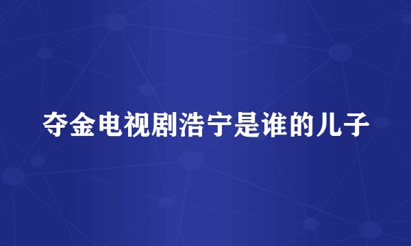 夺金电视剧浩宁是谁的儿子
