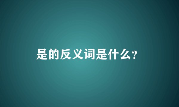 是的反义词是什么？