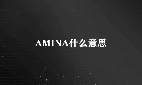 AMINA什么意思