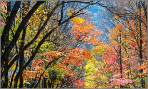 the best wishes to you是什么意思