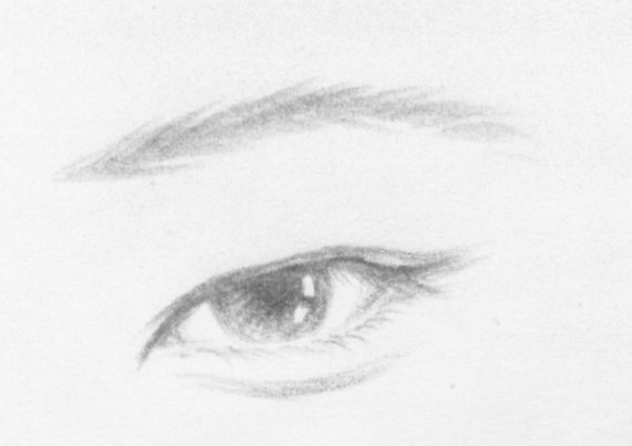 谁能提供一下具体的眼型种类及其图片吗？谢谢。