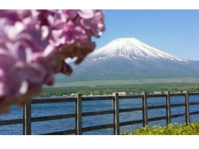 《富士山下》和《爱情转移》区别是什么?