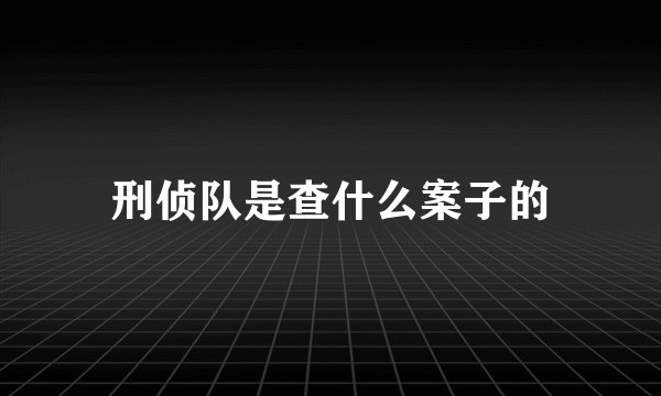 刑侦队是查什么案子的