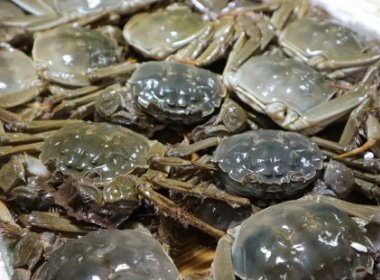 今年阳澄湖大闸蟹或将“缺席”中秋餐桌，问题出在哪里？