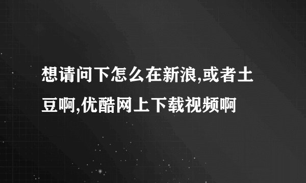想请问下怎么在新浪,或者土豆啊,优酷网上下载视频啊