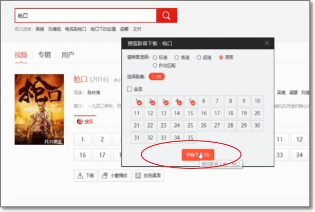 怎么把搜狐视频下载到电脑里