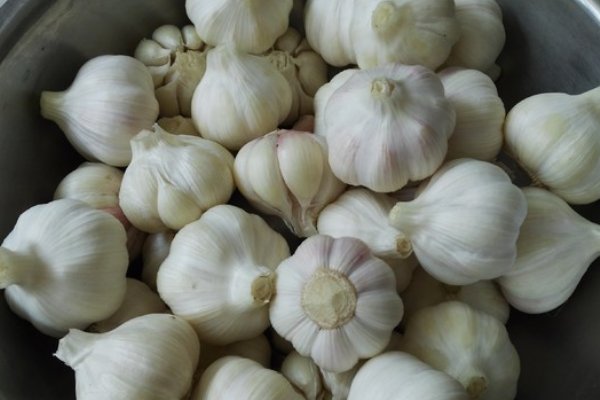 糖蒜的制作方法