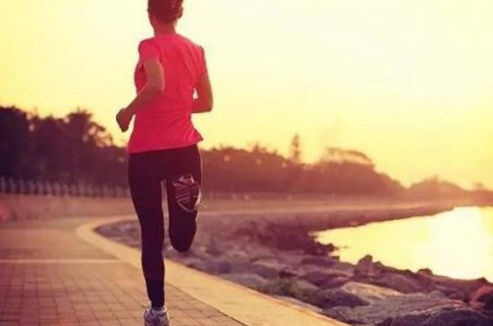 理想太丰满,现实太骨感,什么意思?