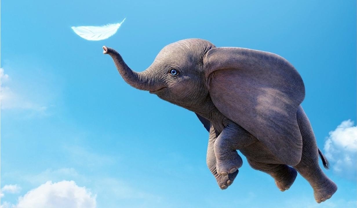 动画电影《小飞象》主要讲了一个什么样的故事?