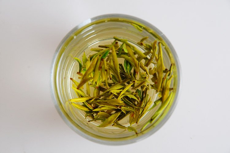 千岛玉叶的价值功效