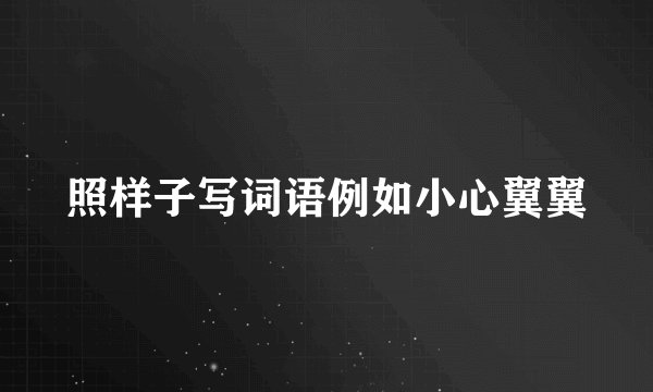 照样子写词语例如小心翼翼