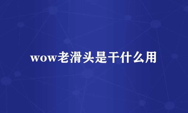 wow老滑头是干什么用