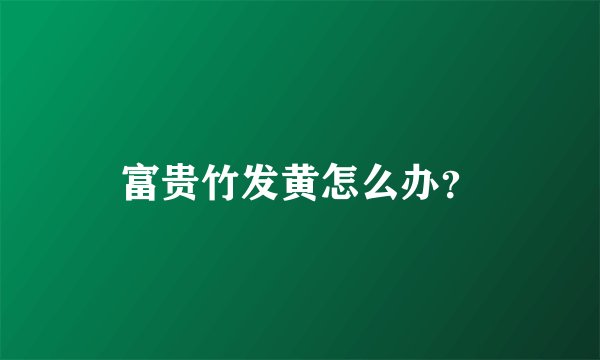富贵竹发黄怎么办？