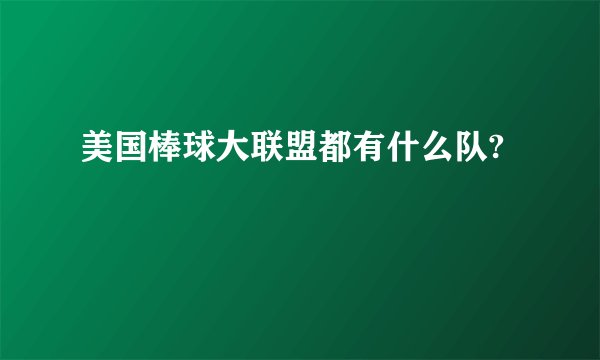 美国棒球大联盟都有什么队?