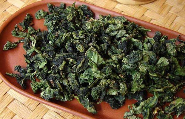 铁观音的发源地在哪?