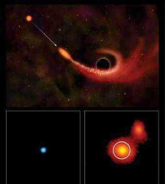 黑洞会把恒星吞噬掉，一般多久会吃掉一颗恒星？