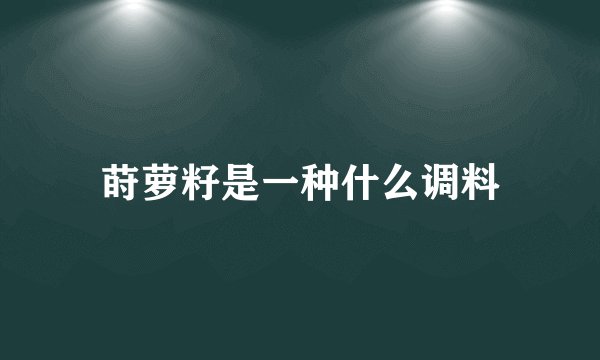 莳萝籽是一种什么调料