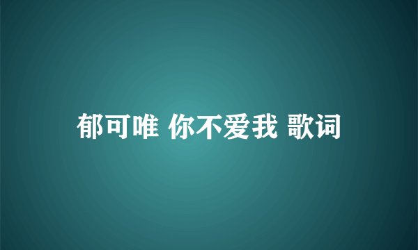 郁可唯 你不爱我 歌词