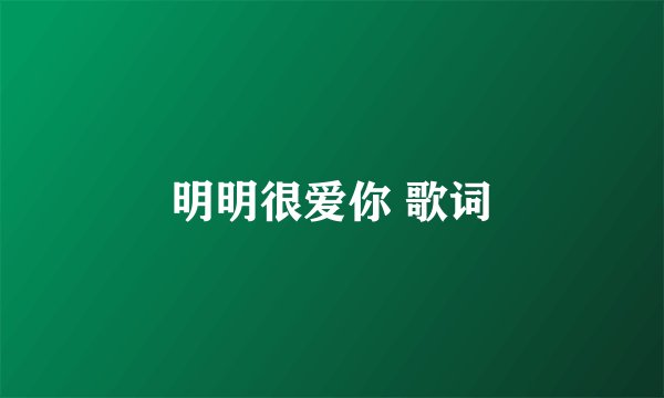 明明很爱你 歌词