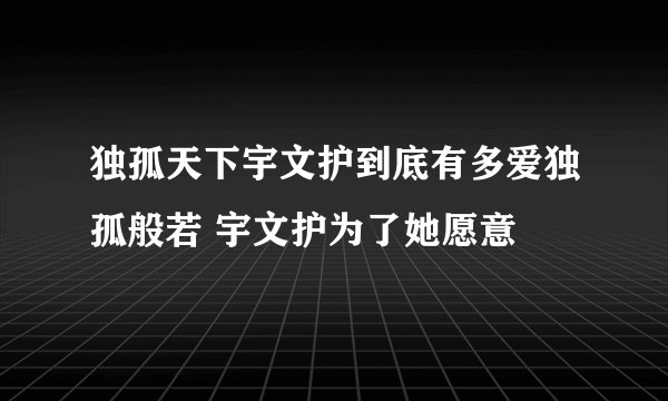 独孤天下宇文护到底有多爱独孤般若 宇文护为了她愿意