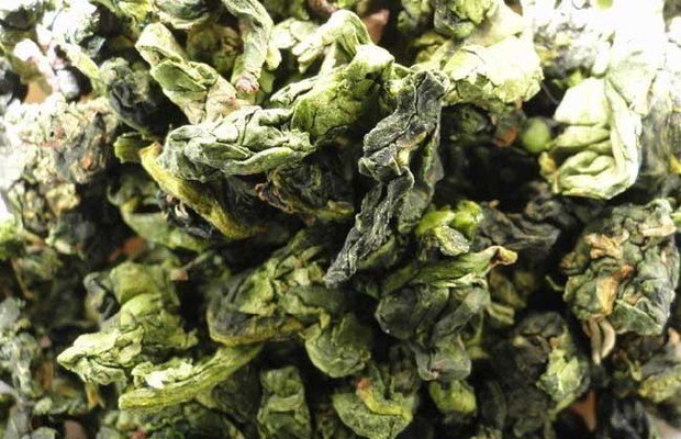 铁观音的发源地在哪?