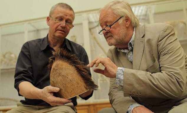 “野女人”扎娜经历驯化,与人类生下4个孩子, 她的DNA是人还是猿?