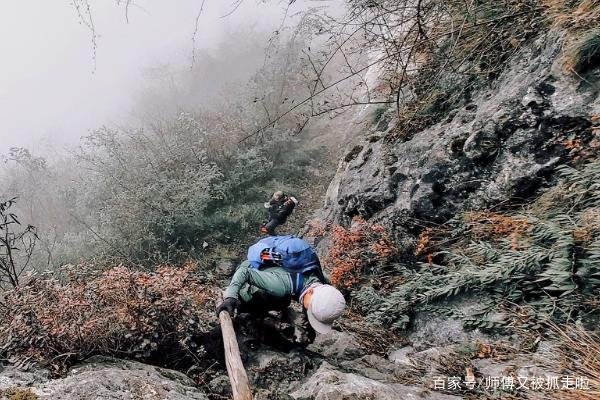 甘肃越野跑前6名唯一幸存者遭网暴，到底是怎么回事？