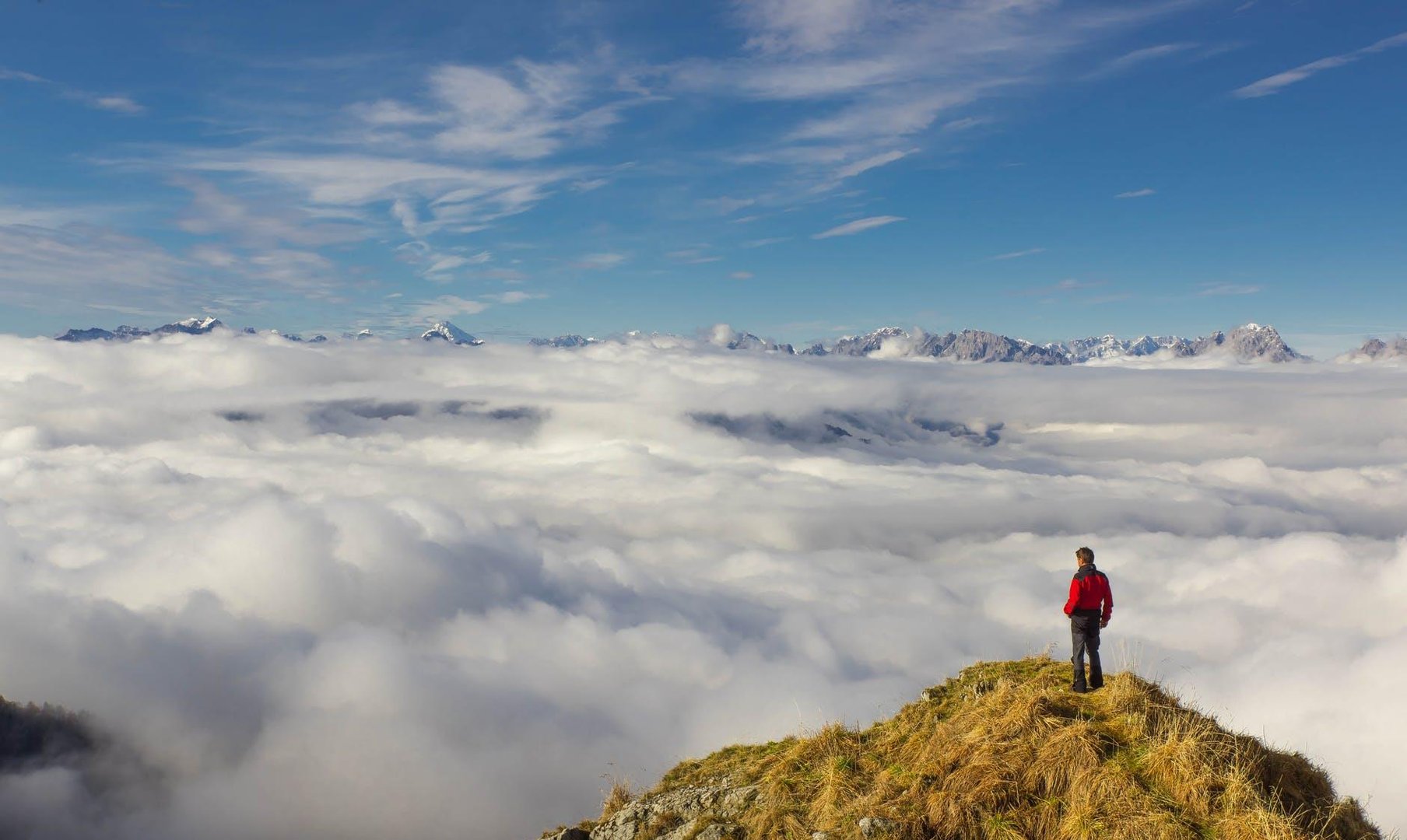 谈恋爱的时候，为何说女人不要将自己的姿态放得很低？