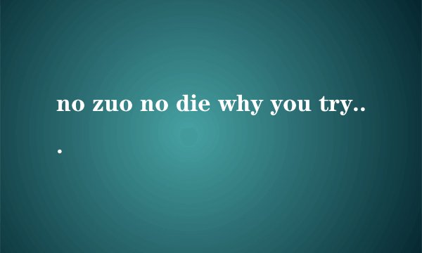 no zuo no die why you try什么意思