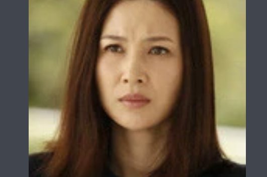 半路父子演员表全部