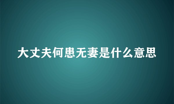 大丈夫何患无妻是什么意思