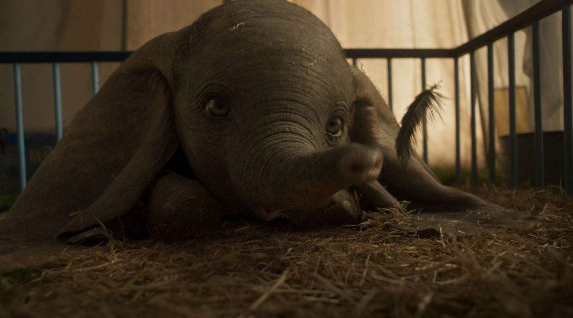 动画电影《小飞象》主要讲了一个什么样的故事?