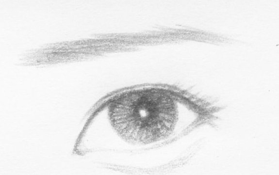 谁能提供一下具体的眼型种类及其图片吗？谢谢。