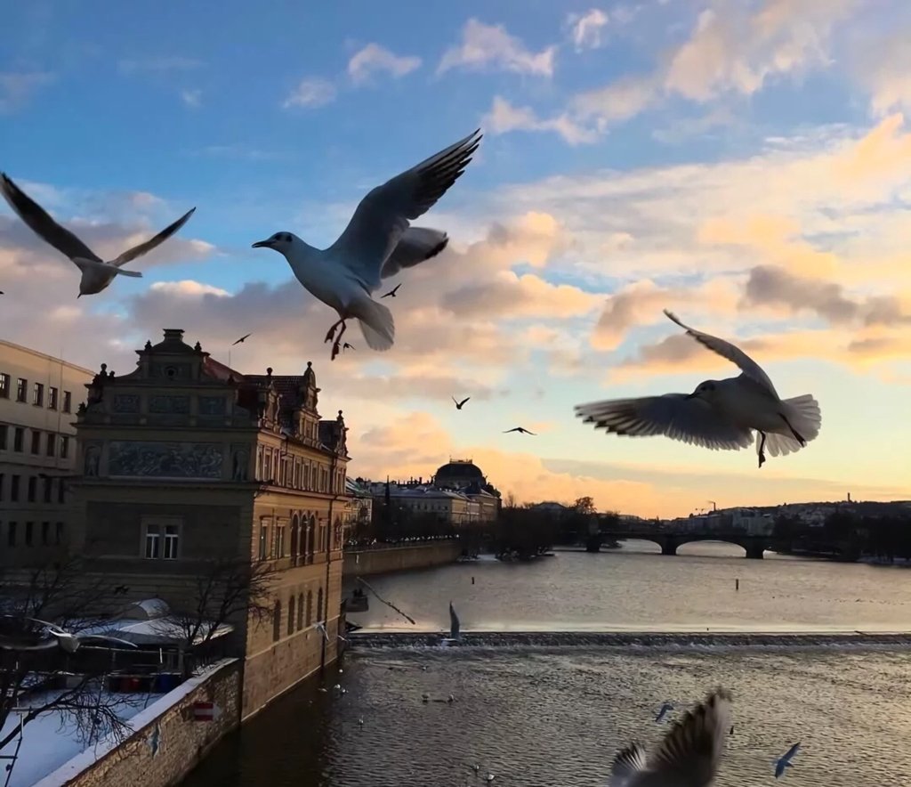 女生问你怎么知道的我咋回复？