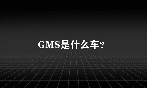 GMS是什么车？