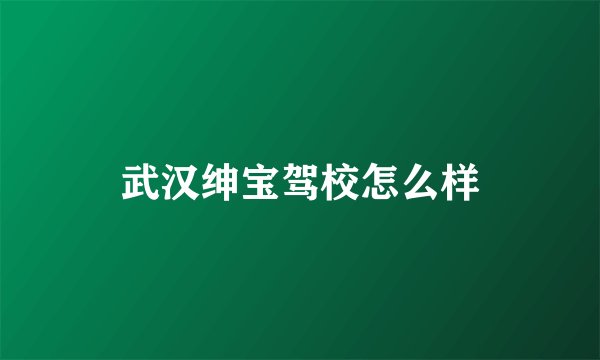 武汉绅宝驾校怎么样