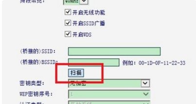 什么路由器好用信号强