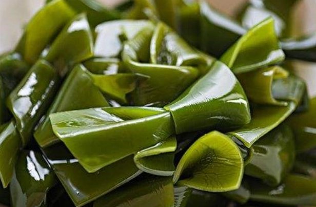 “长寿菜”是指的什么菜?有什么依据呢?