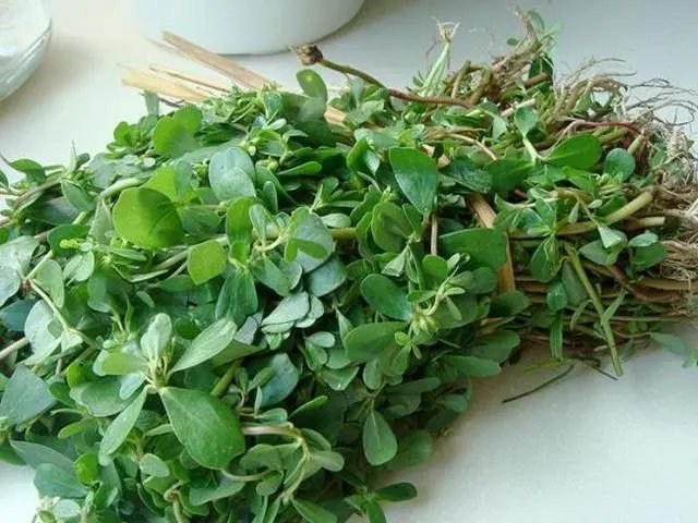 “长寿菜”是指的什么菜?有什么依据呢?