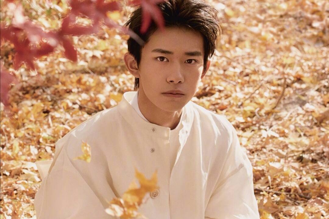 前有蔡徐坤后有肖战背景板签名被挖走，为何活动现场签名板这么容易被破坏？