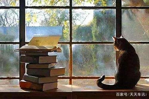 婚姻中没有完美的妻子和丈夫，女人完美的老公是什么样子的？