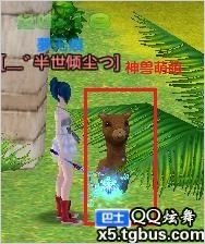 qq炫舞中神兽萌萌在哪