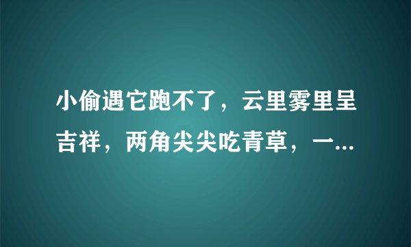 小偷遇它跑不了，云里雾里呈吉祥，两角尖尖吃青草，一统千秋驾六龙。这首说的可能是什么动物？